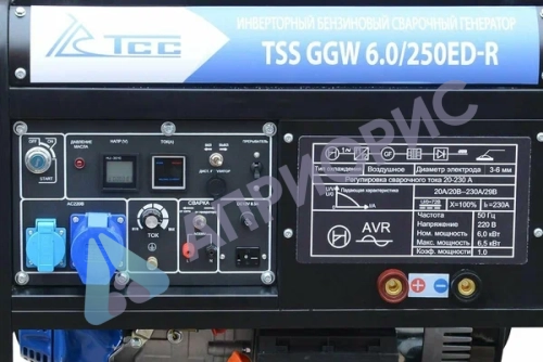 Сварочный генератор TSS GGW 6.0/250ED-R